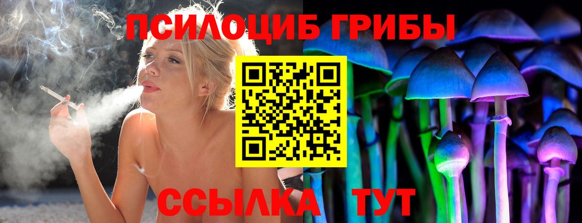 Псилоцибиновые грибы MAGIC MUSHROOMS Клинцы