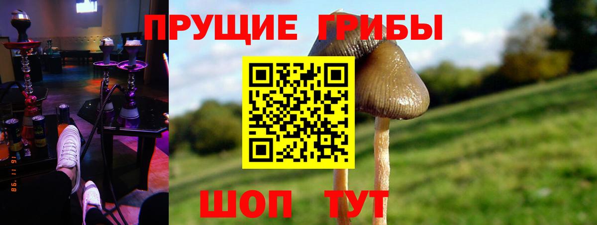 Клинцы  Галлюциногенные грибы Magic Shrooms  Вход с VPN 